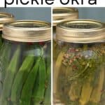 Crunchy Pickled Okra (Canning & Preserving)