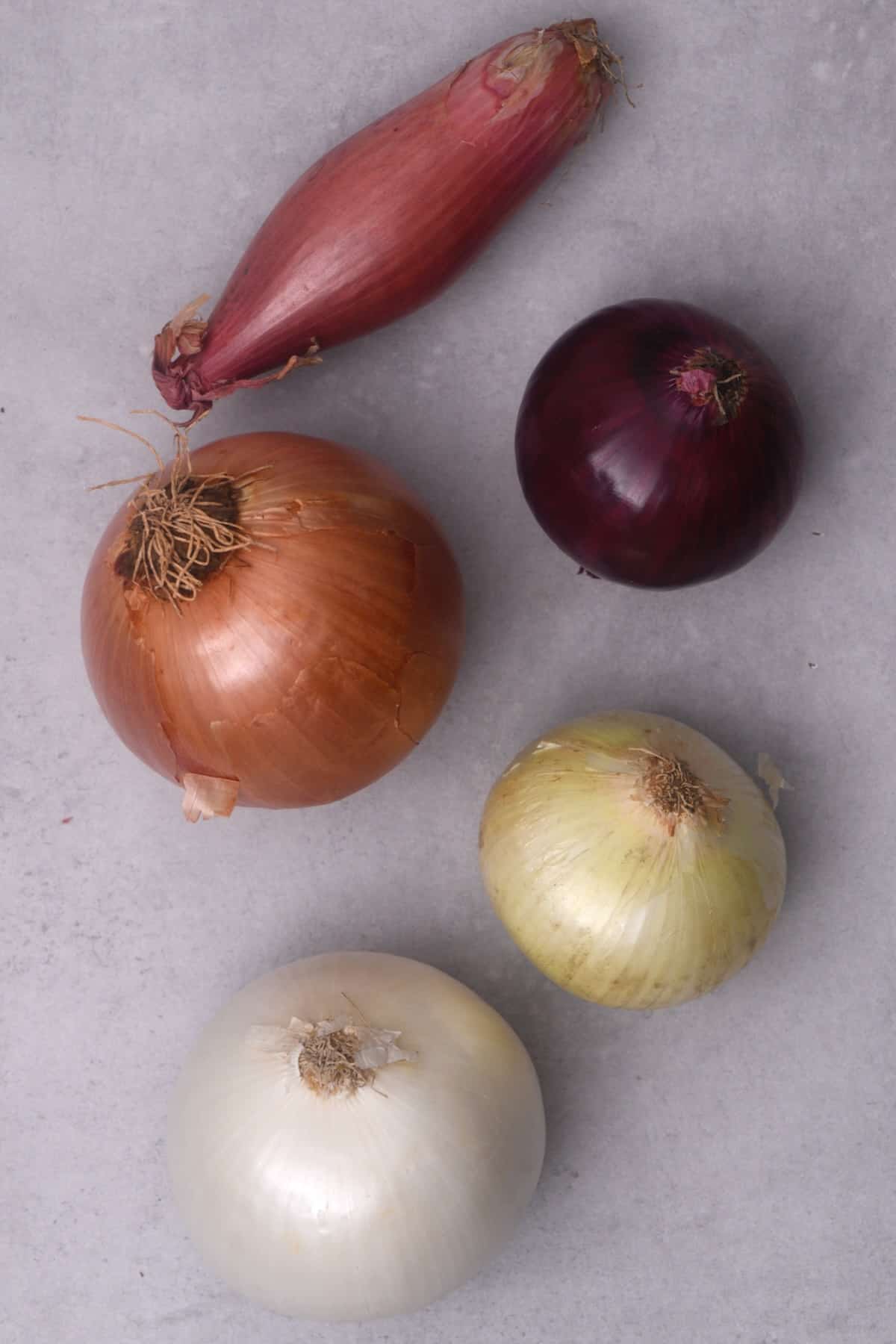Different types of onion on a flat surface