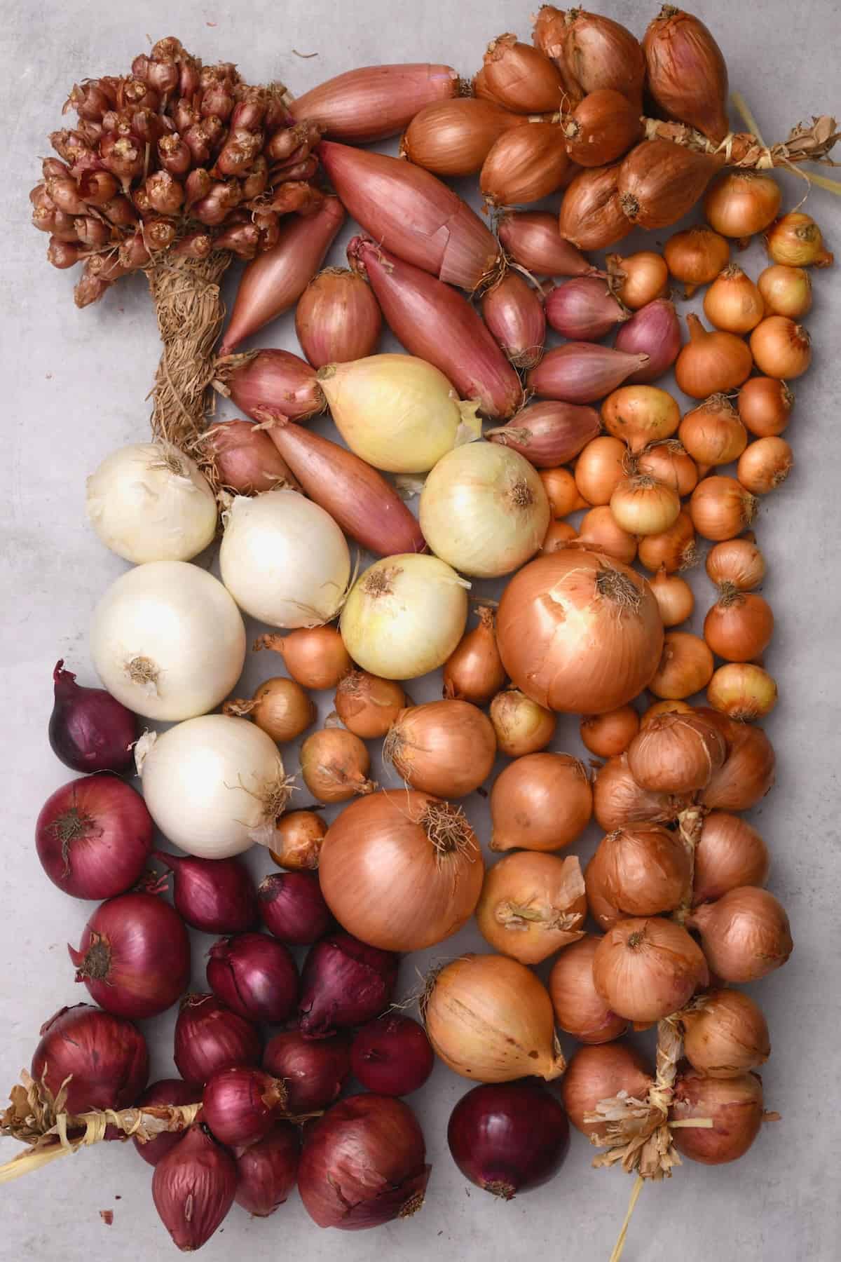 Different types of onions on a flat surface
