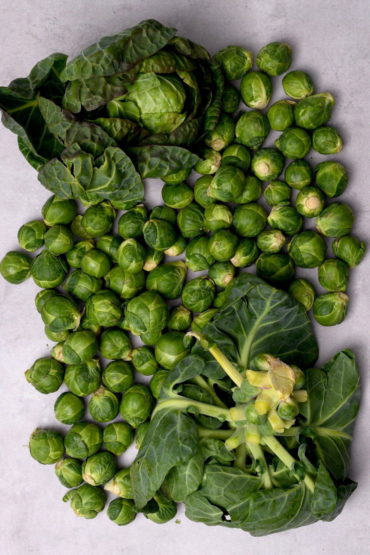 Fresh brussel sprouts on a flat surface