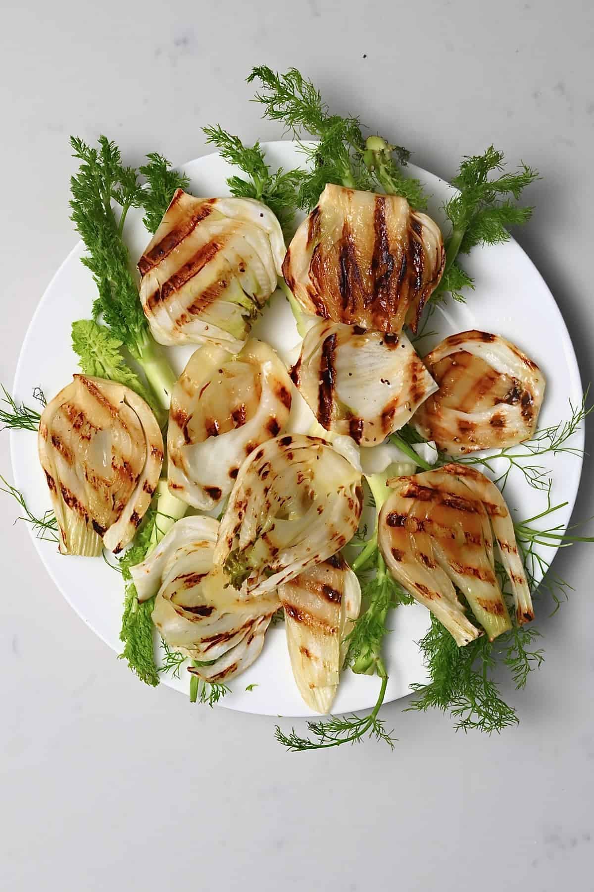 Grilled fennel on a plate