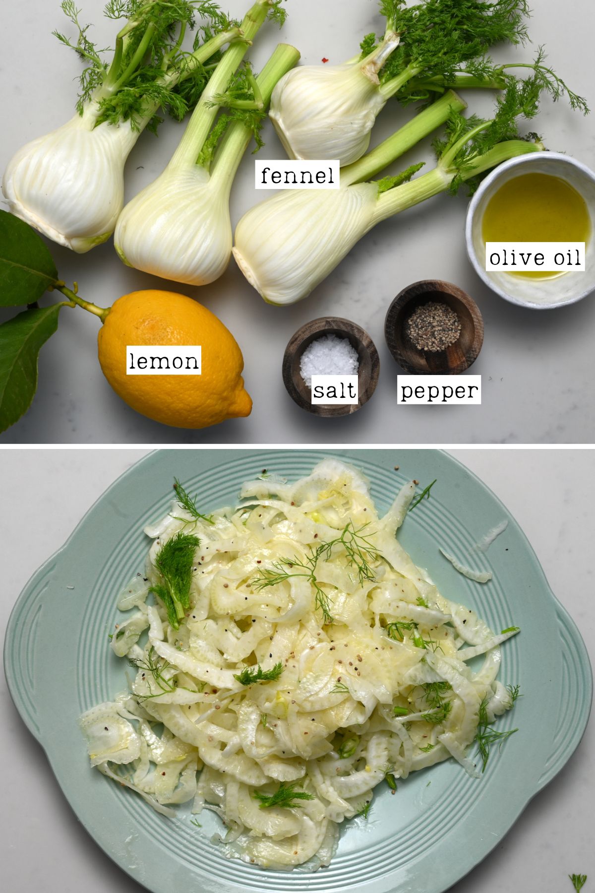 Ingredients for raw fennel salad