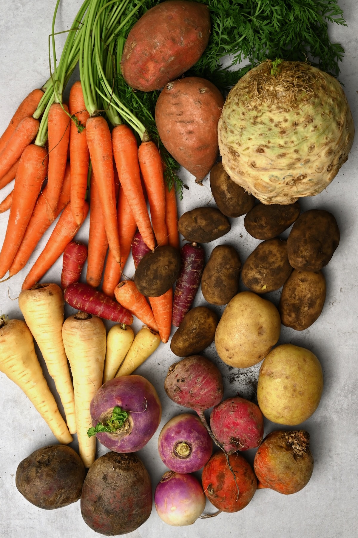 Different types of winter root vegetables on a flat surface