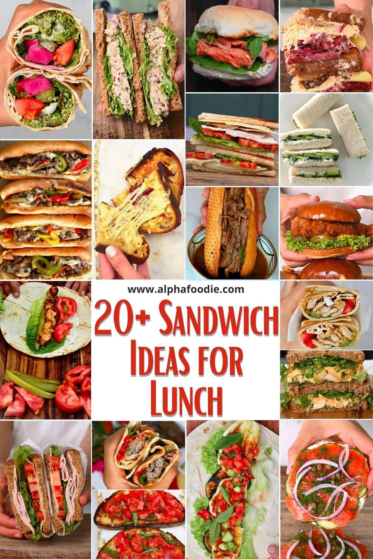 20+ Delicious Sandwich Ideas for Lunch - Alphafoodie