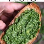 Arugula Pesto Recipe