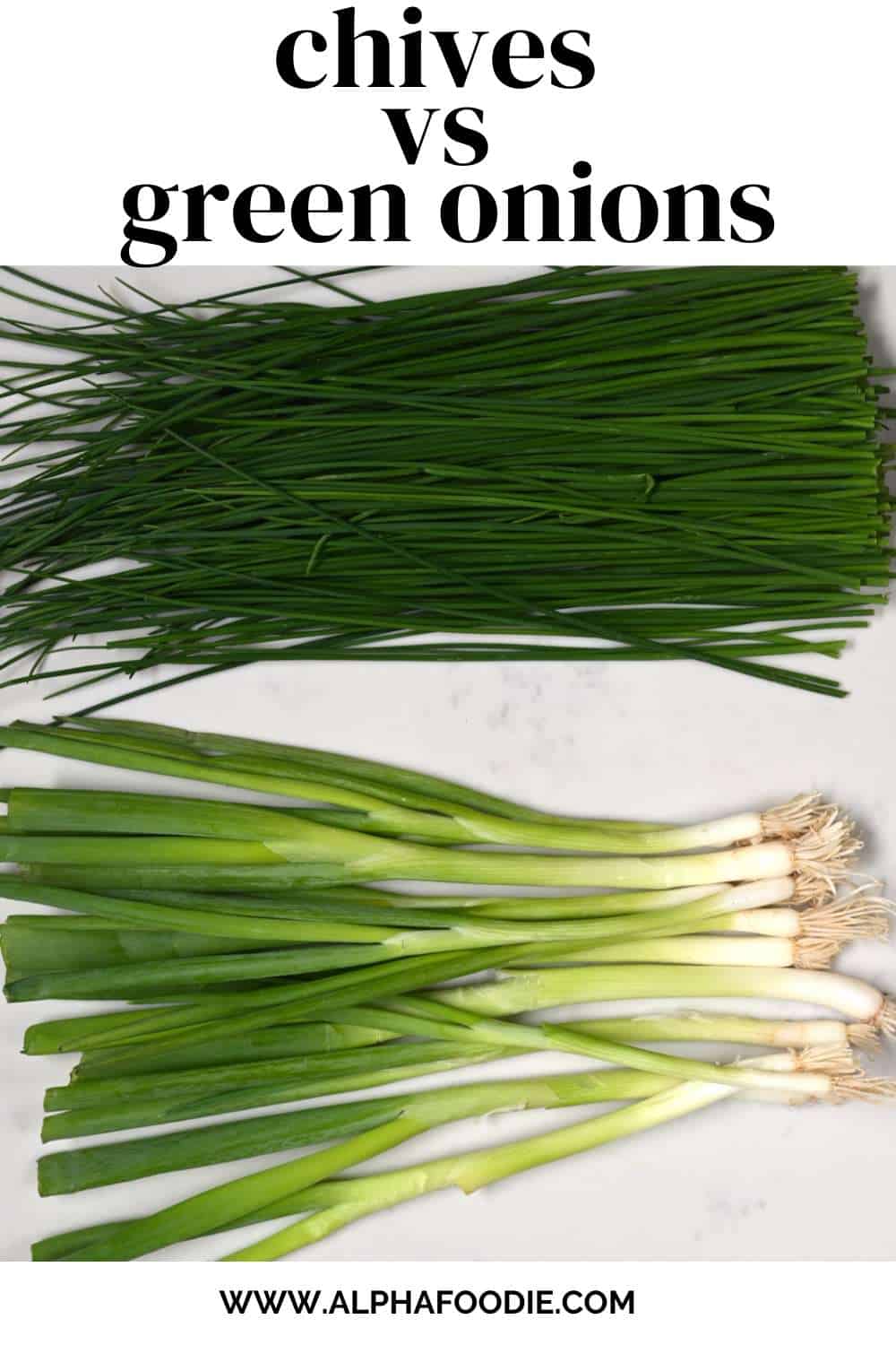 Chives Vs Green Onions What's the Difference? Alphafoodie