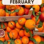 What's in Season - February Produce and Recipes