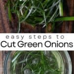 How to Cut Green Onions (5 Easy Ways)