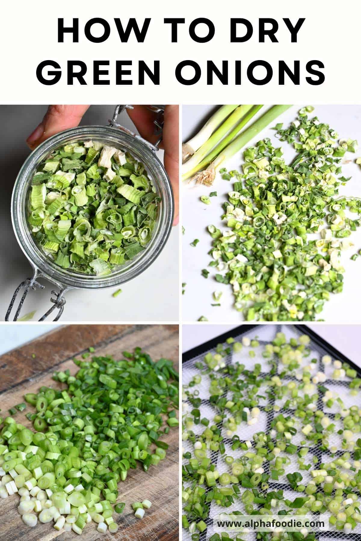 How to Dry Green Onions Alphafoodie
