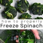 How to Freeze Spinach
