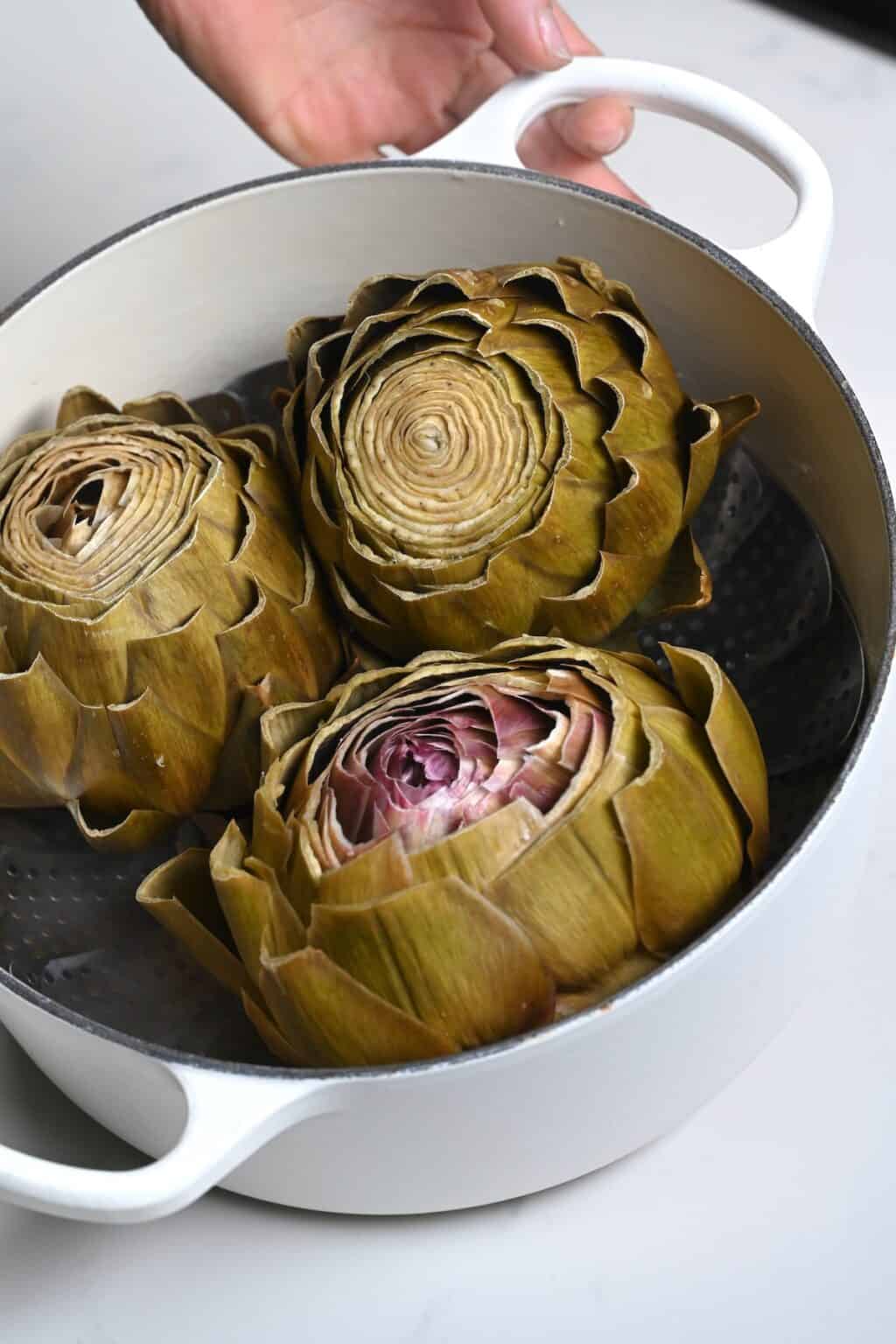 What Is Artichoke and How to Cook It Alphafoodie