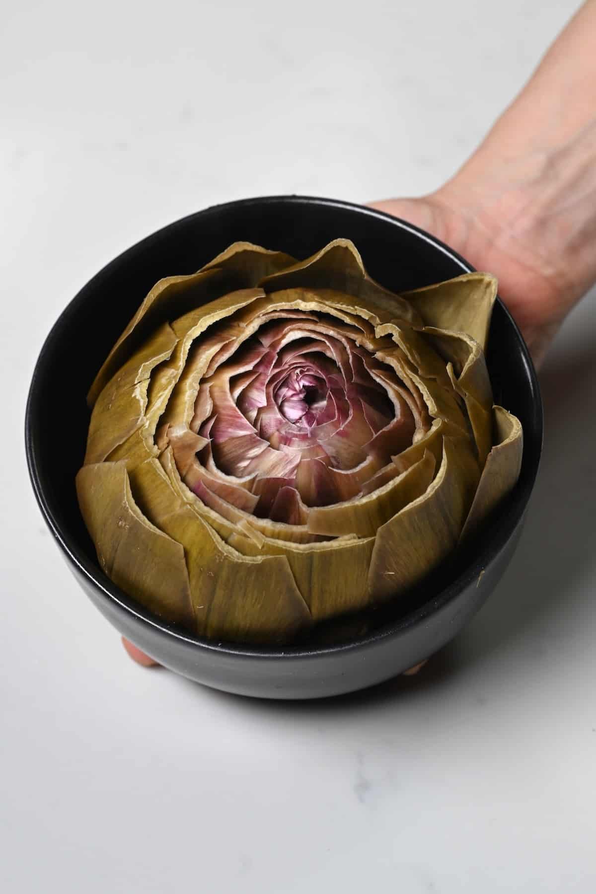 Steamed artichoke head in a bowl