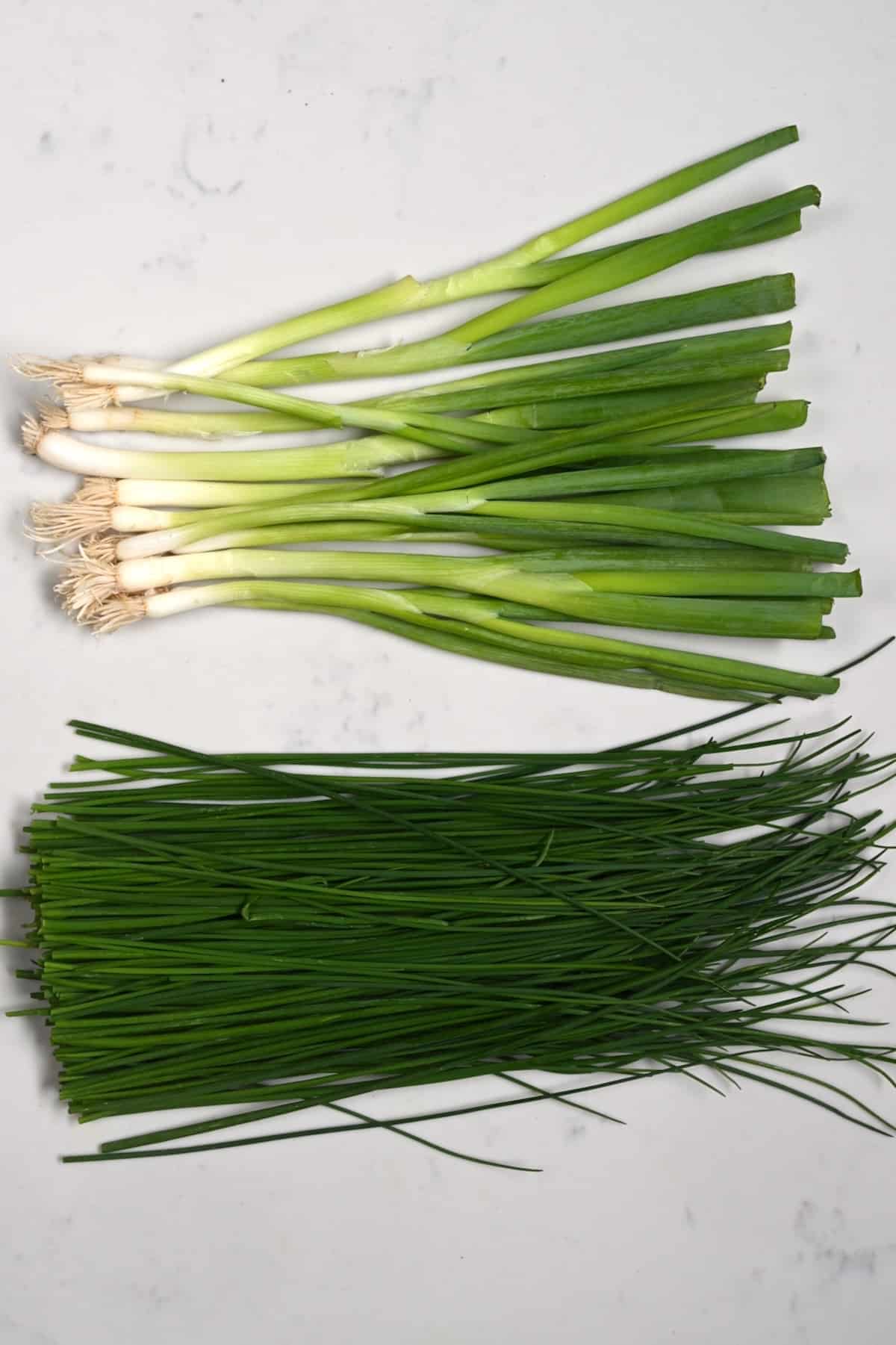 A bunch of green onions and chives on a flat surface