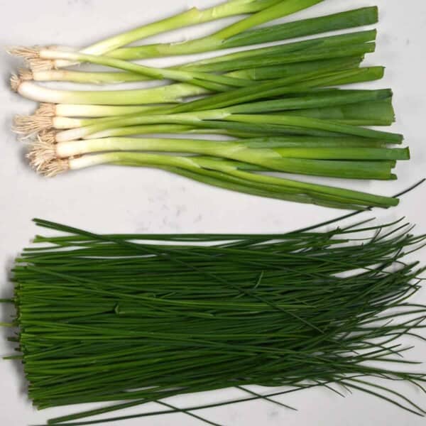 A bunch of green onions and chives on a flat surface