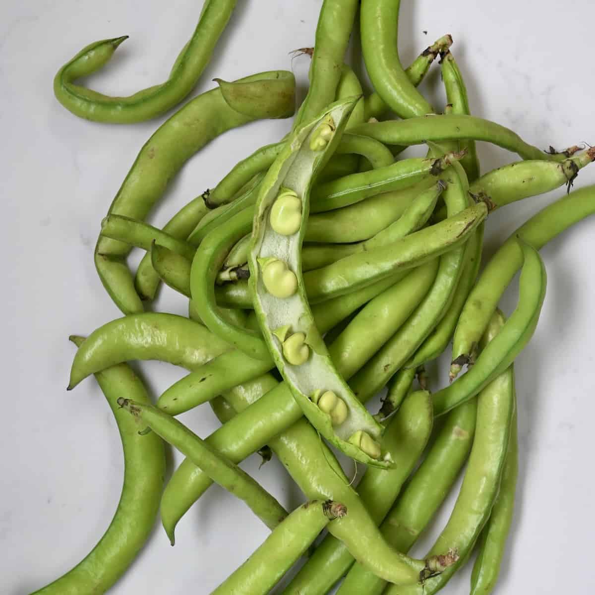 A bunch of fava beans
