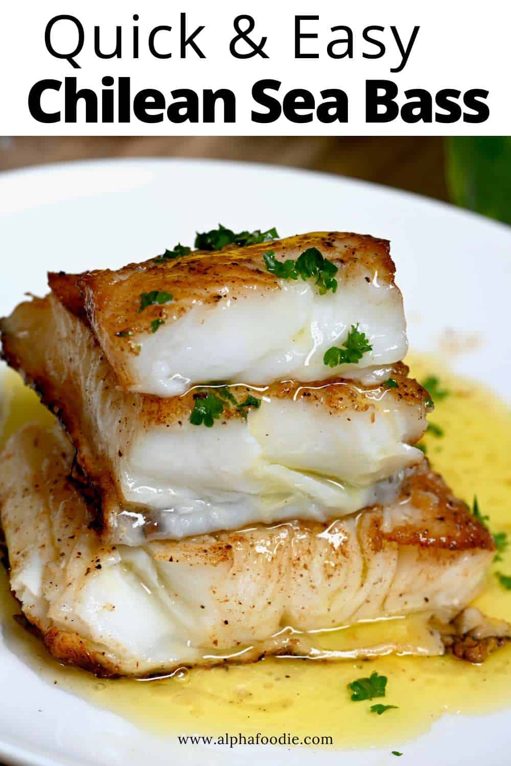 Pan Seared Chilean Sea Bass Recipe Alphafoodie