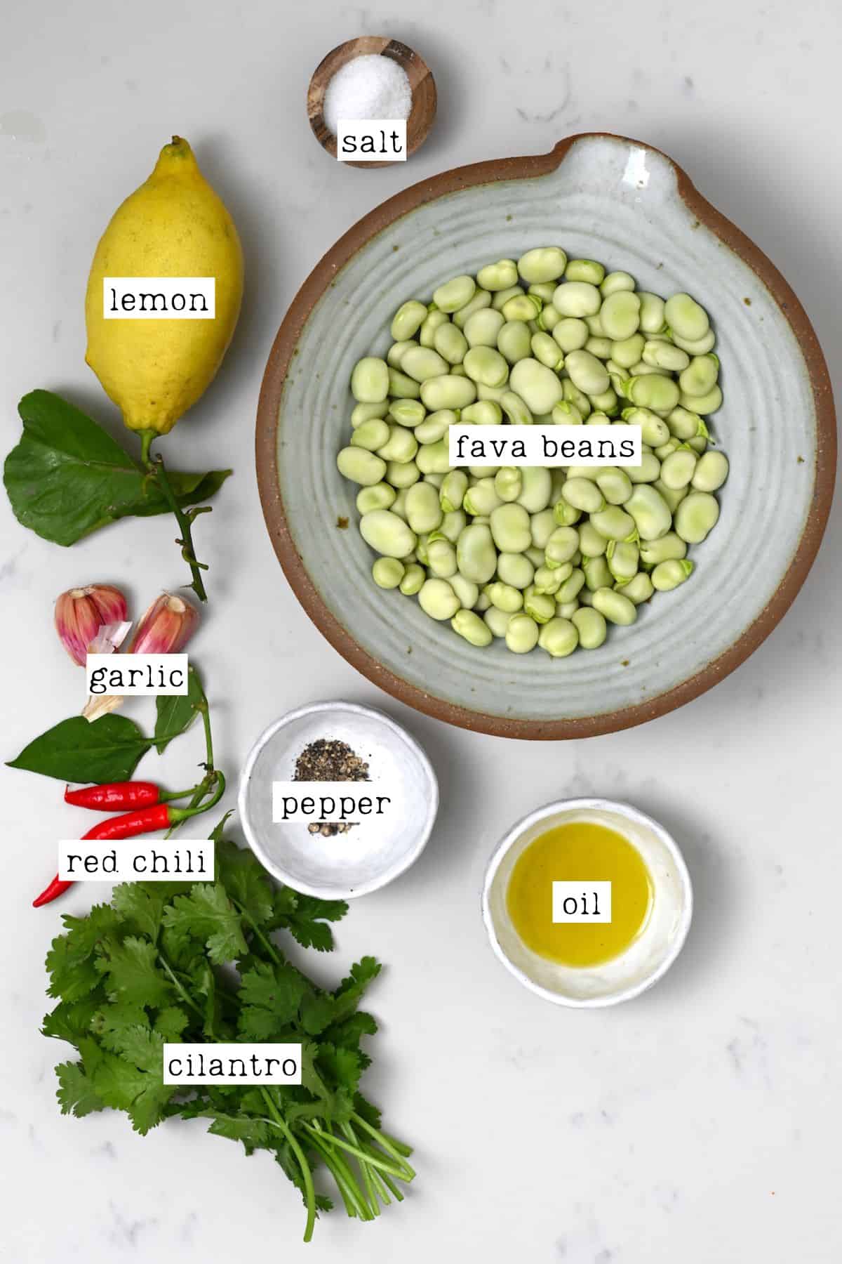 Ingredients for sautéing fava beans