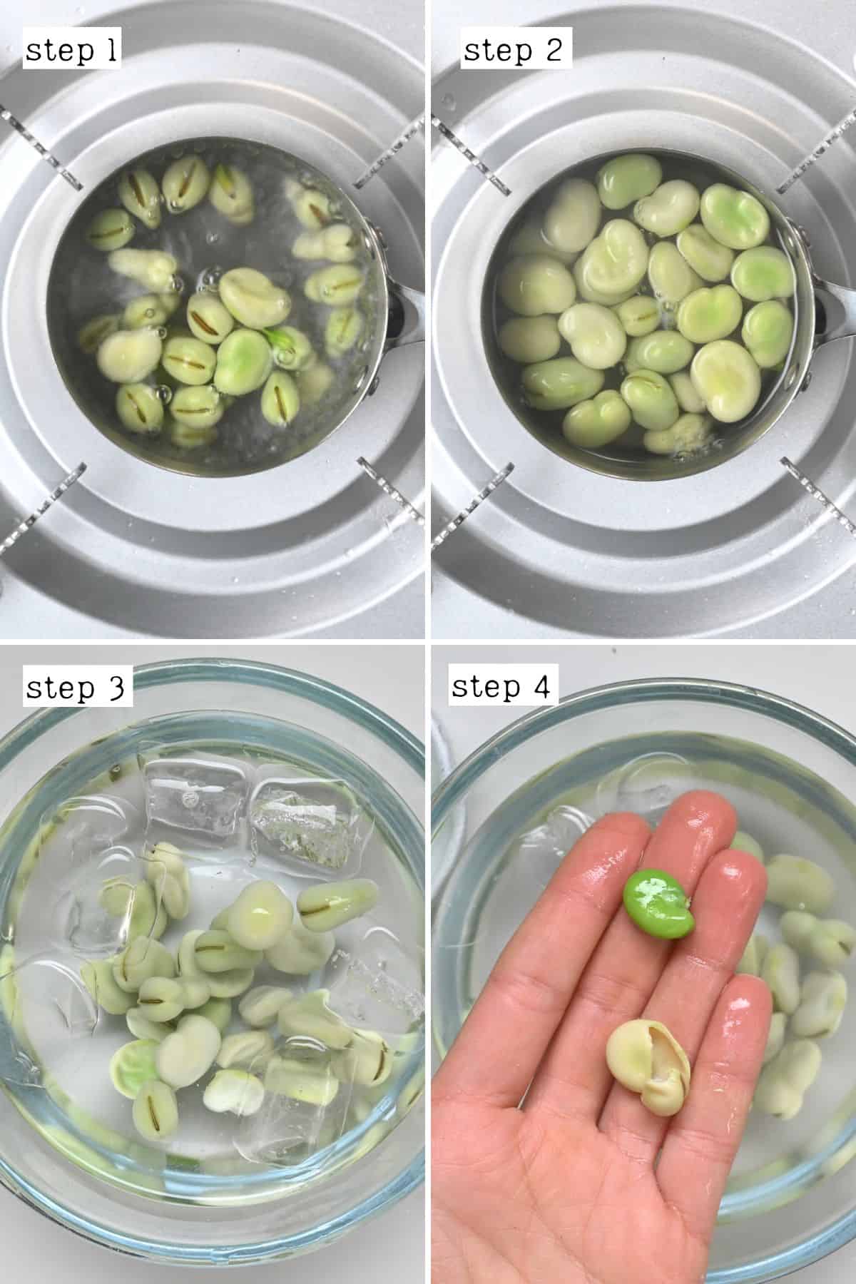 Steps for blanching fava beans