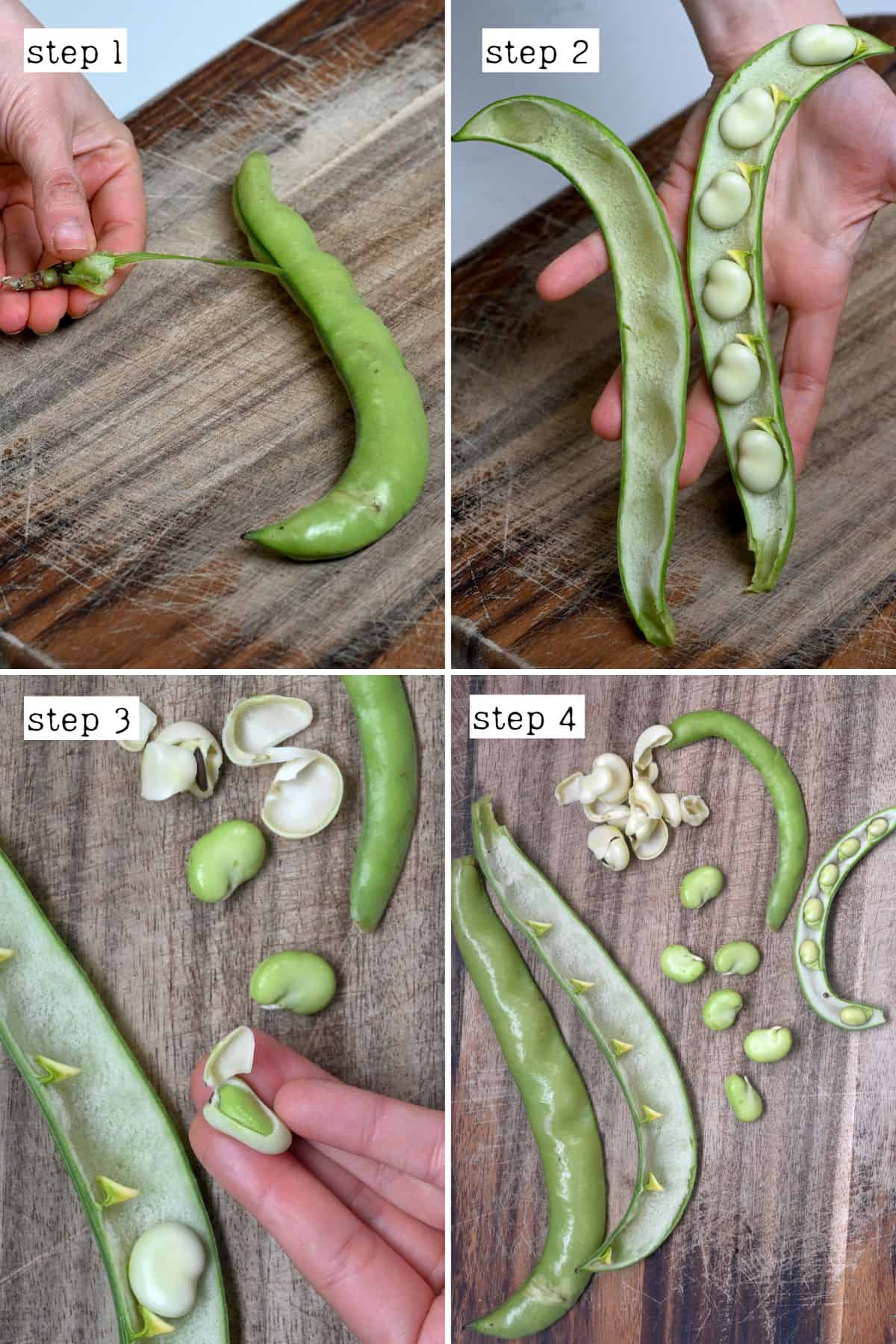 Steps for shelling fava beans