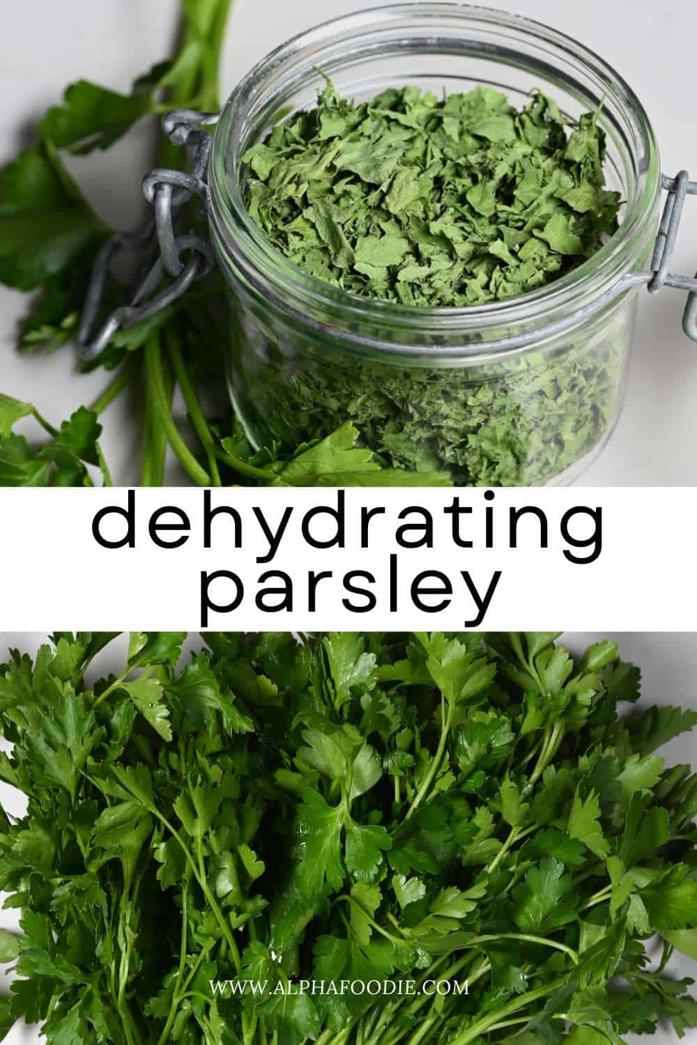 How to Dry Parsley (3 Methods) Alphafoodie