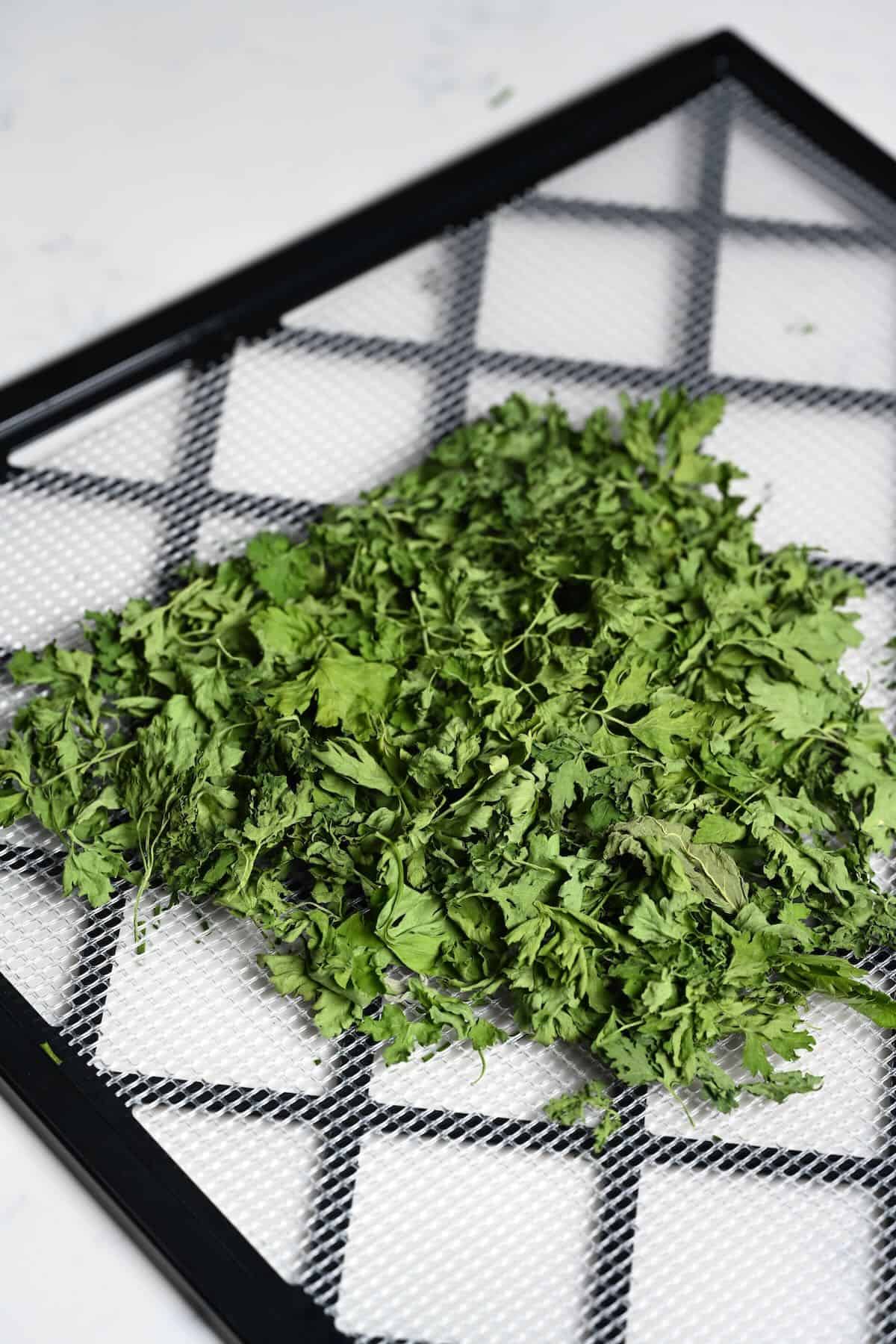 A tray with dried parsley