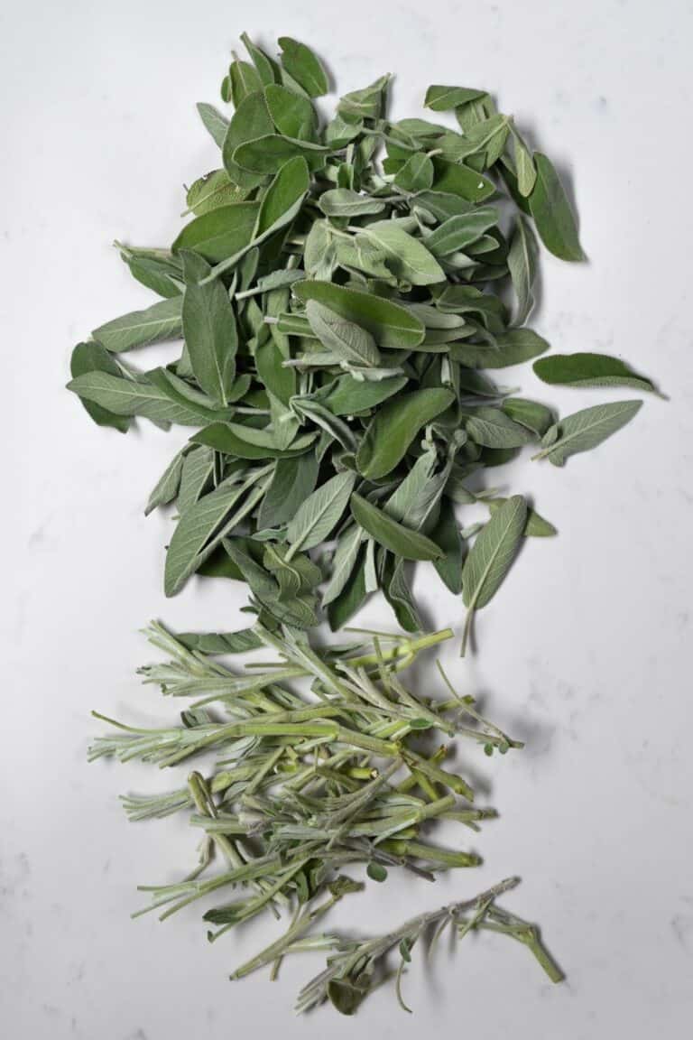 How to Dry Sage Leaves (4 Methods) Alphafoodie