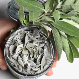 A jar with dried sage leaves and a small bundle of fresh sage