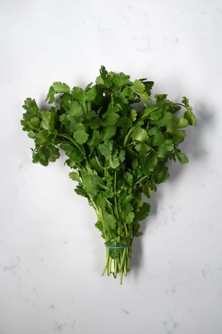 Parsley vs Cilantro What's the Difference? Alphafoodie