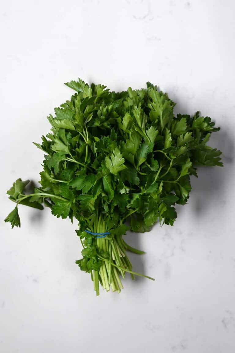 Parsley vs Cilantro What's the Difference? Alphafoodie