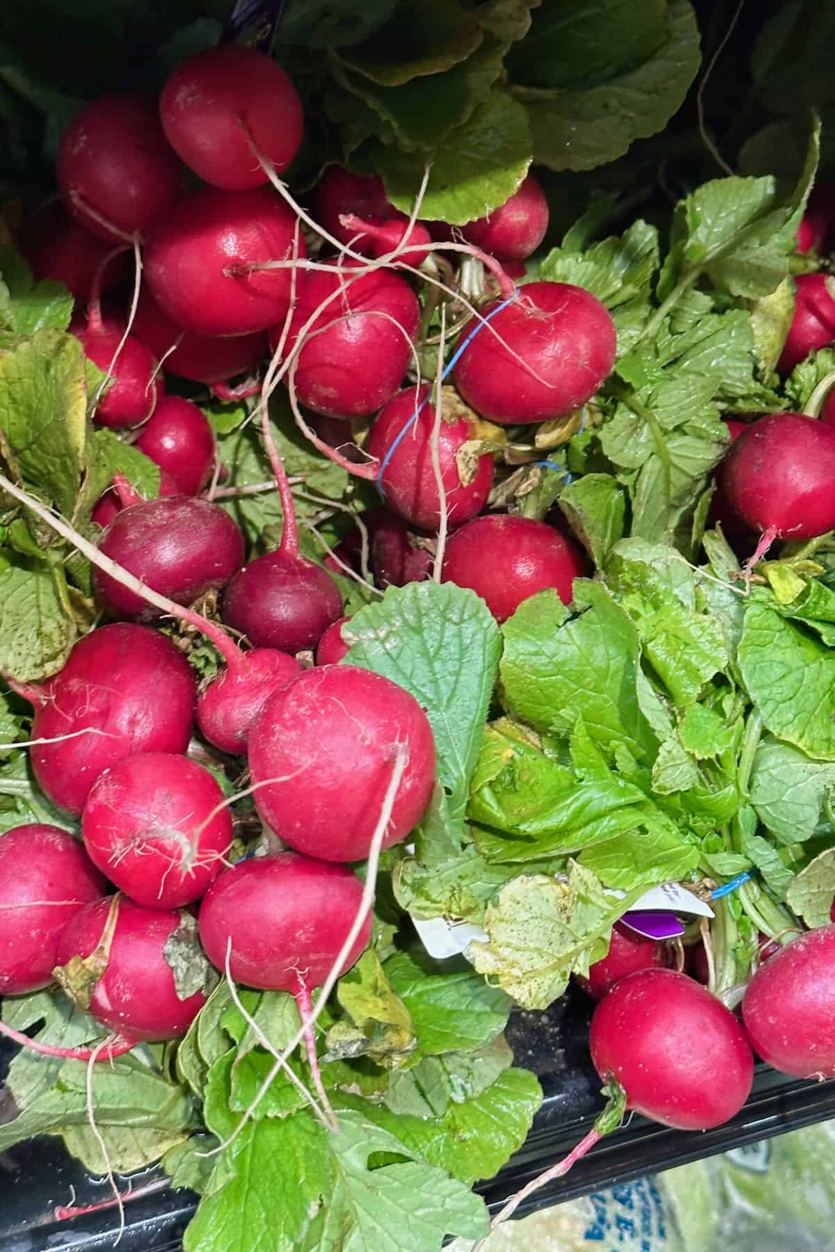 A bunch of radish bunches