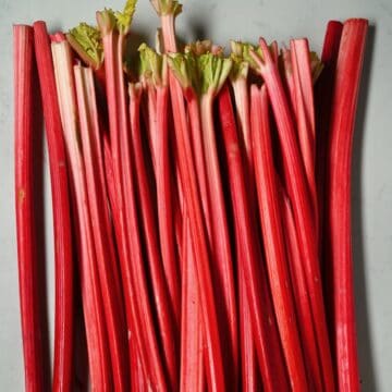 A bunch of rhubarb stalks on a flat surface