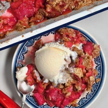 A serving of rhubarb crisp topped with ice cream