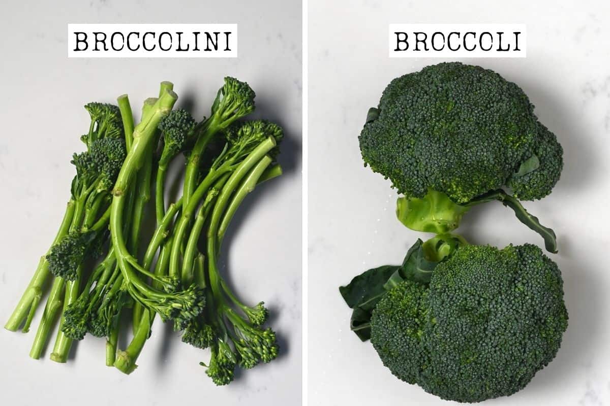 Broccolini vs broccoli