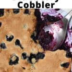 The Best Blueberry Cobbler Recipe