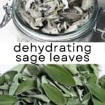How to Dry Sage Leaves (4 Methods)