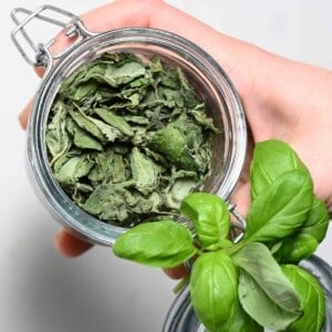 A jar with homemade dried basil leaves