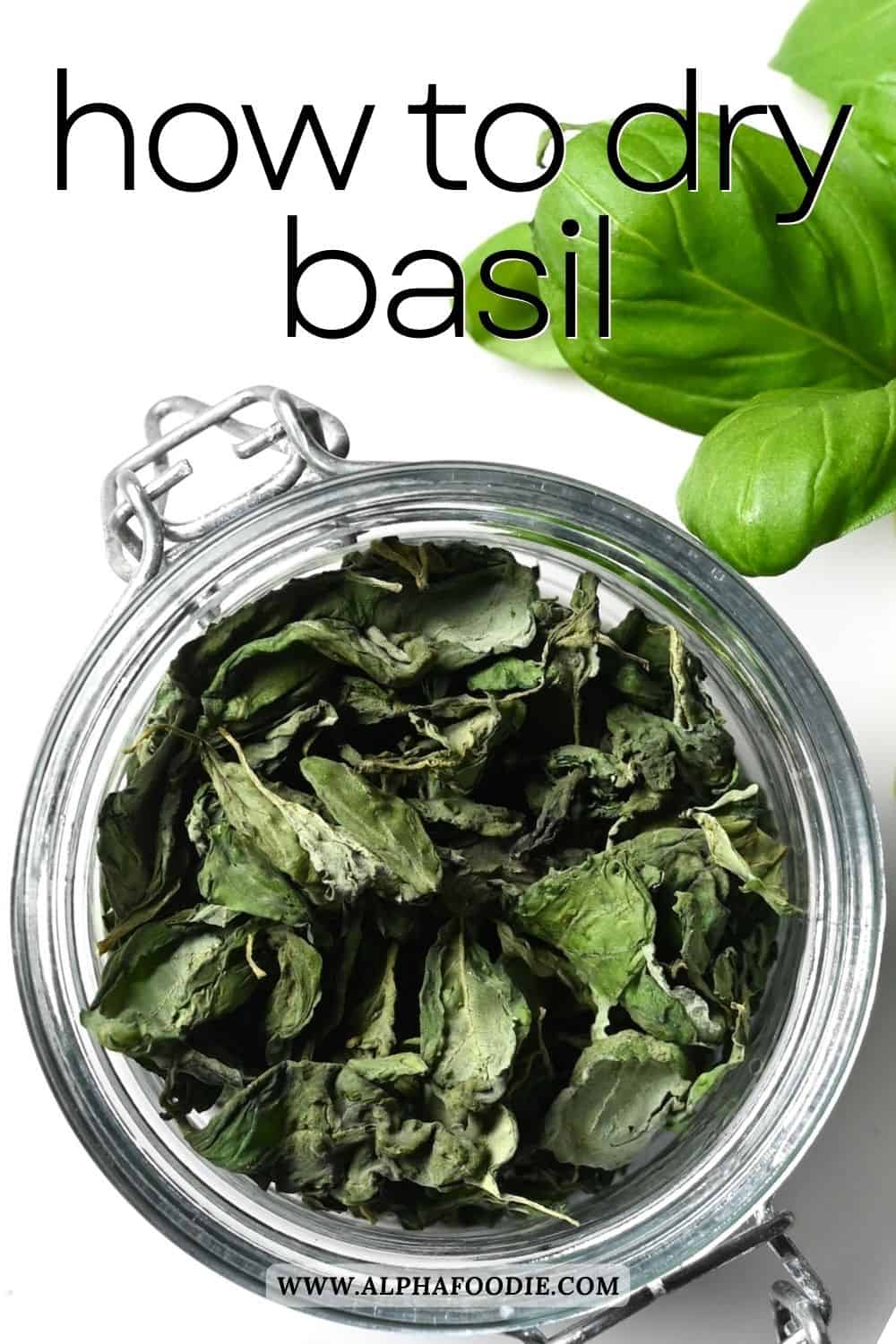 How to Dry Basil Leaves (3 Methods) Alphafoodie