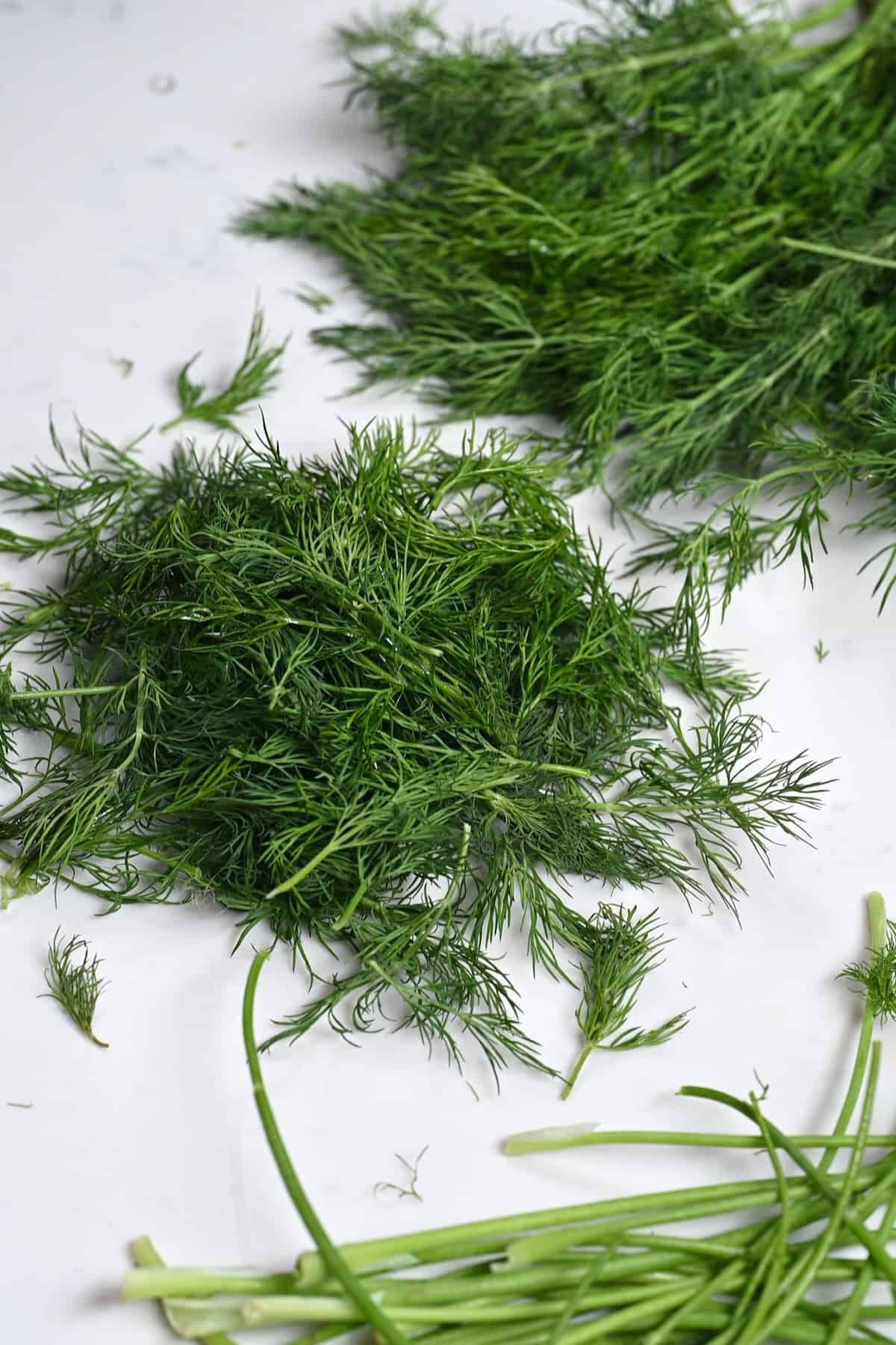 Dill with removed stems