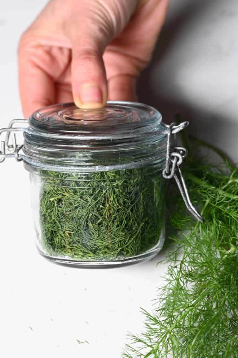 How to Dry Dill (3 Easy Ways) Alphafoodie