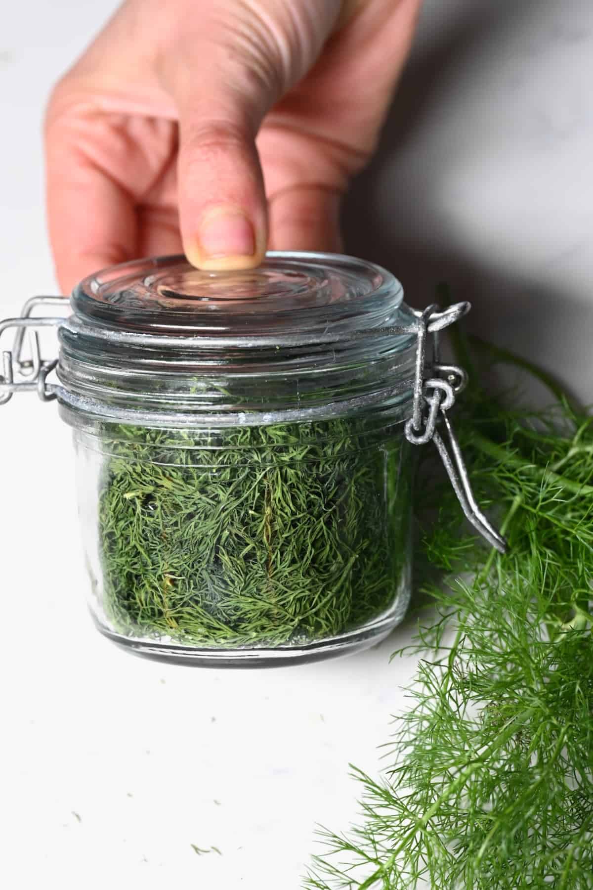 Storing dried dill in a glass container