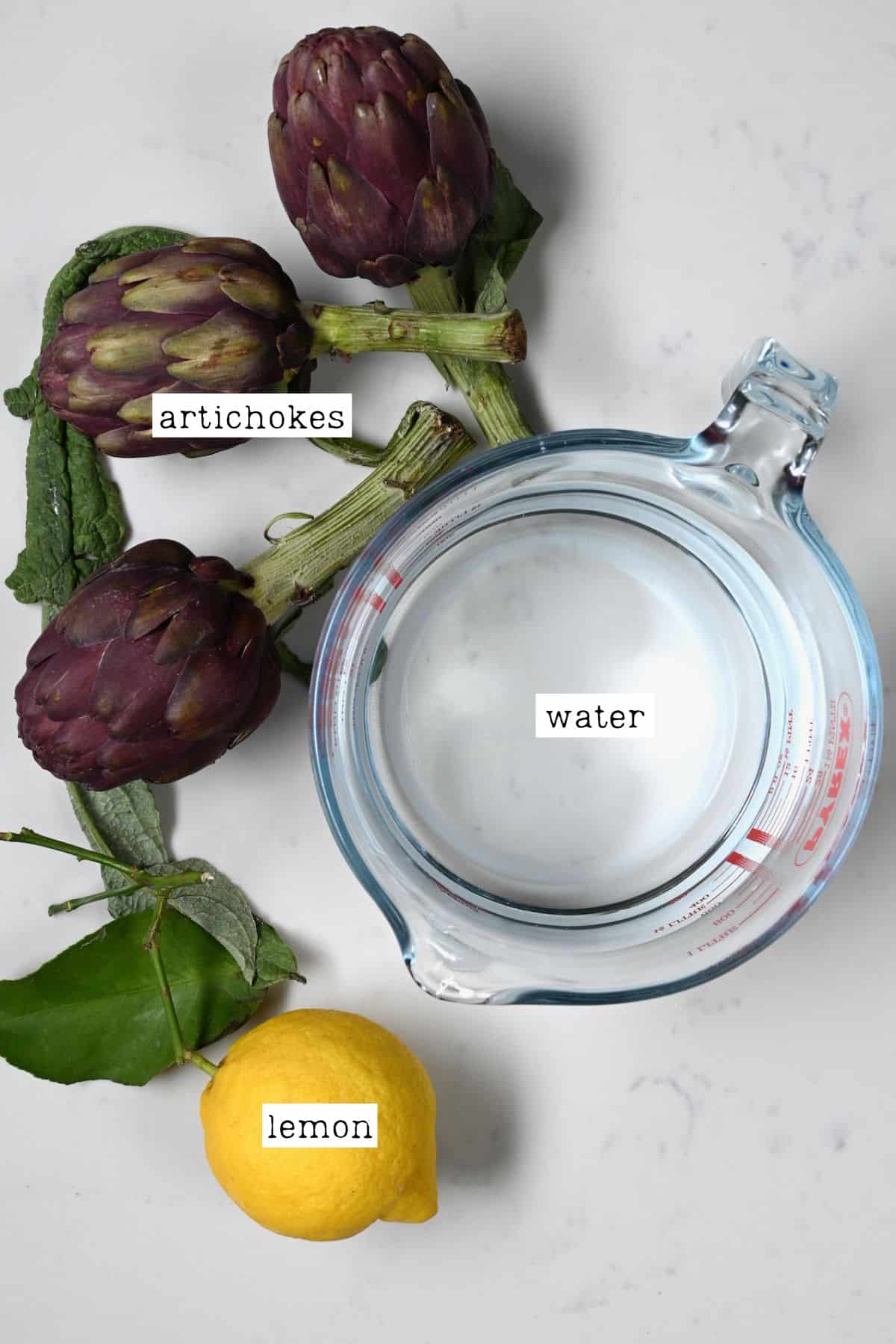 Ingredients for instant pot artichoke