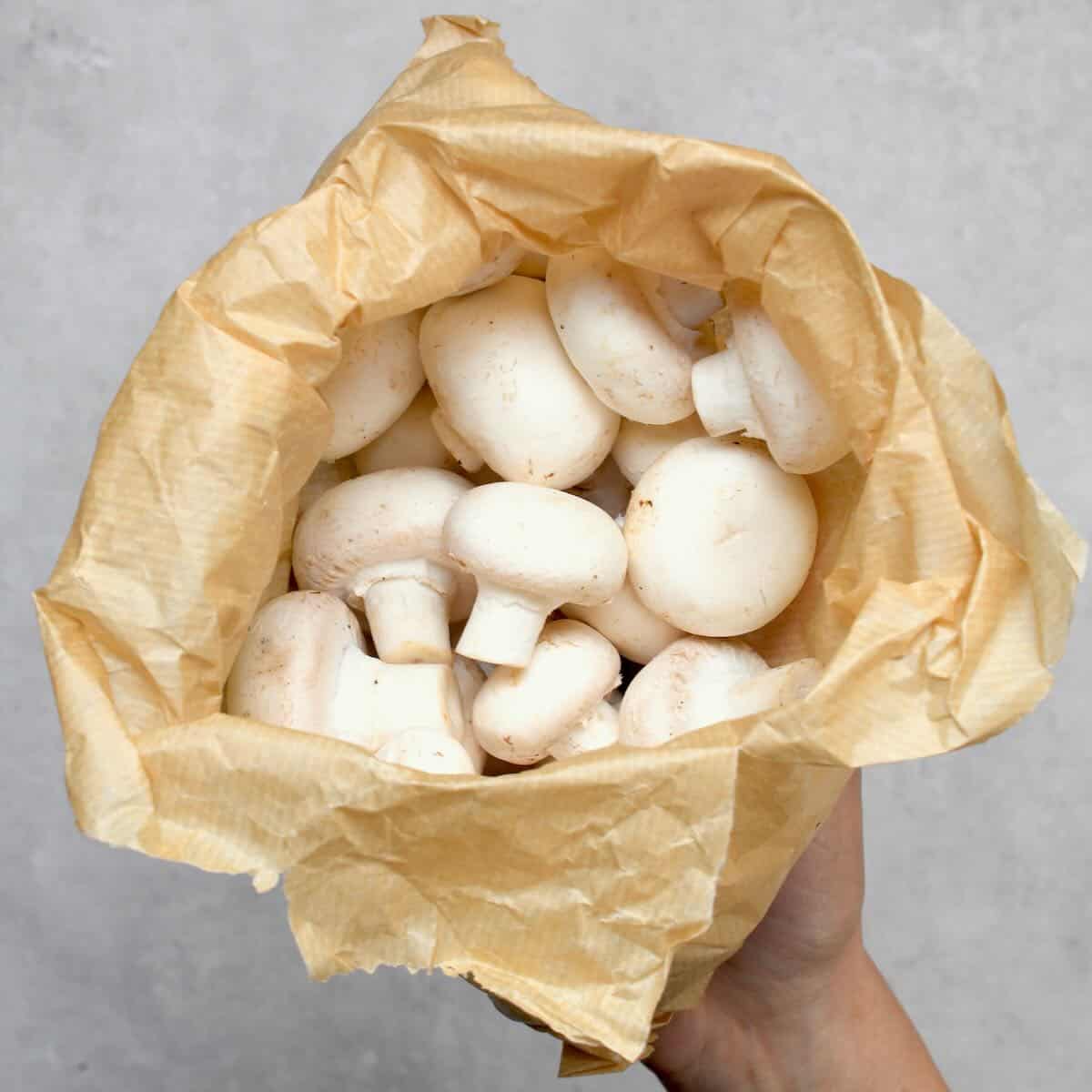 A bag with mushrooms