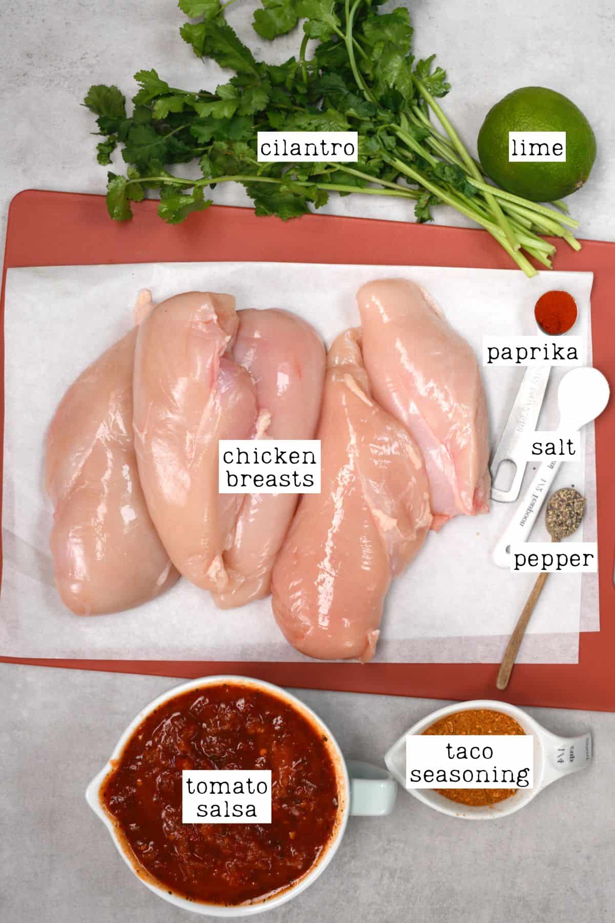 Ingredients for crockpot chicken tacos
