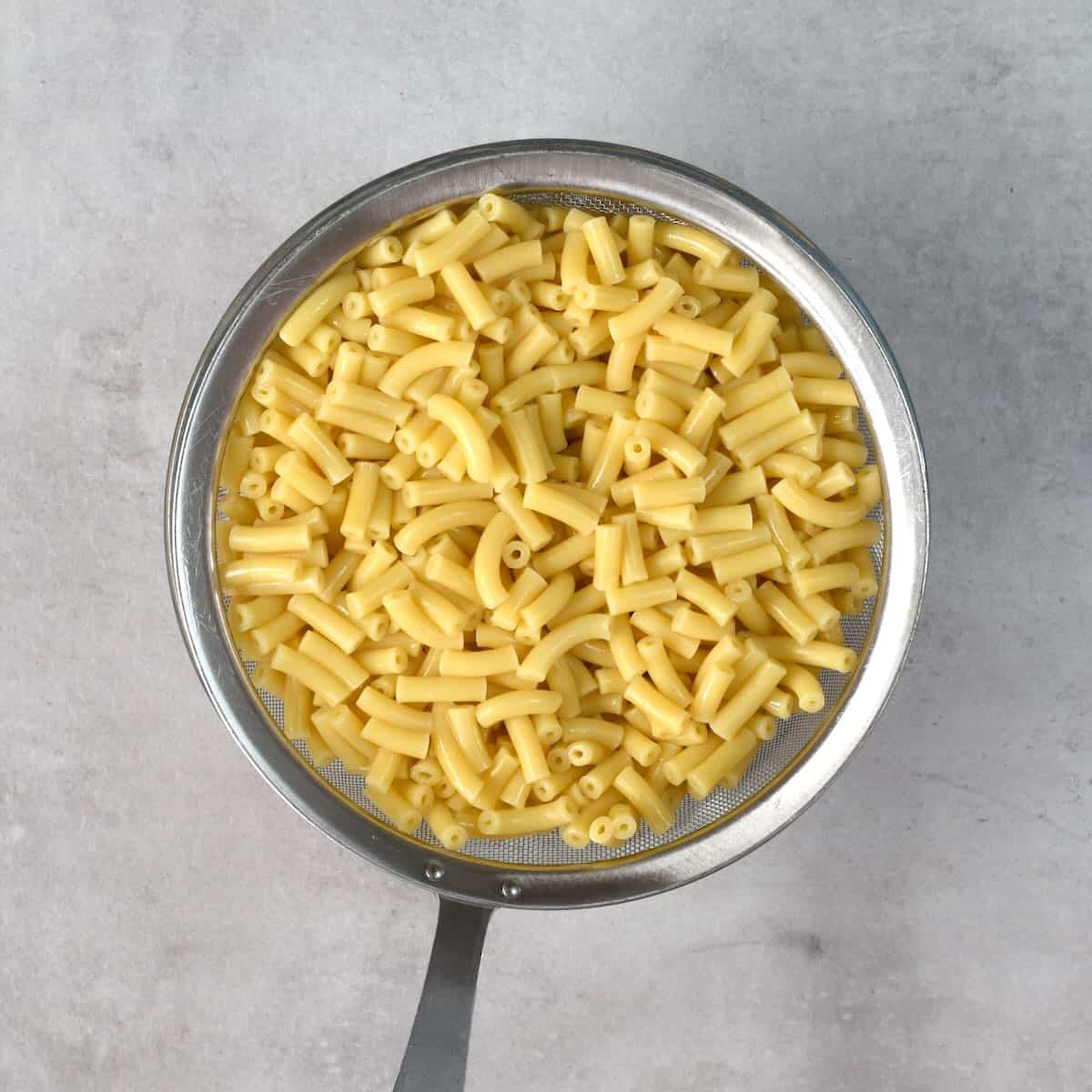 Cooked macaroni pasta
