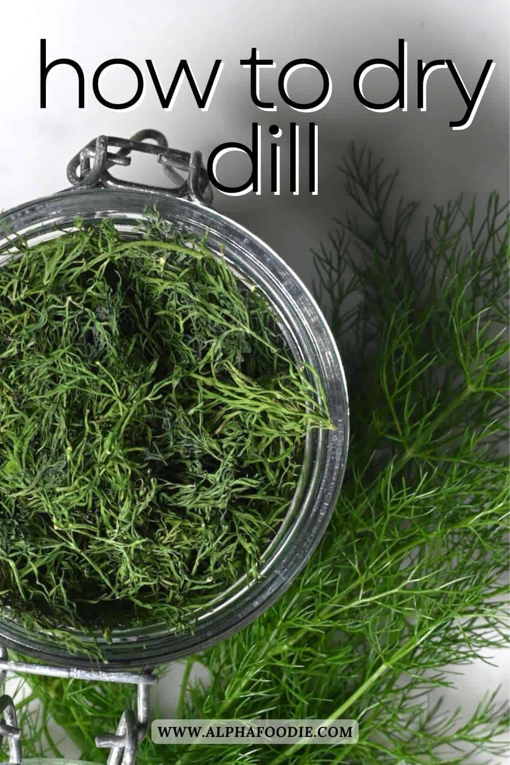 How to Dry Dill (3 Easy Ways) Alphafoodie
