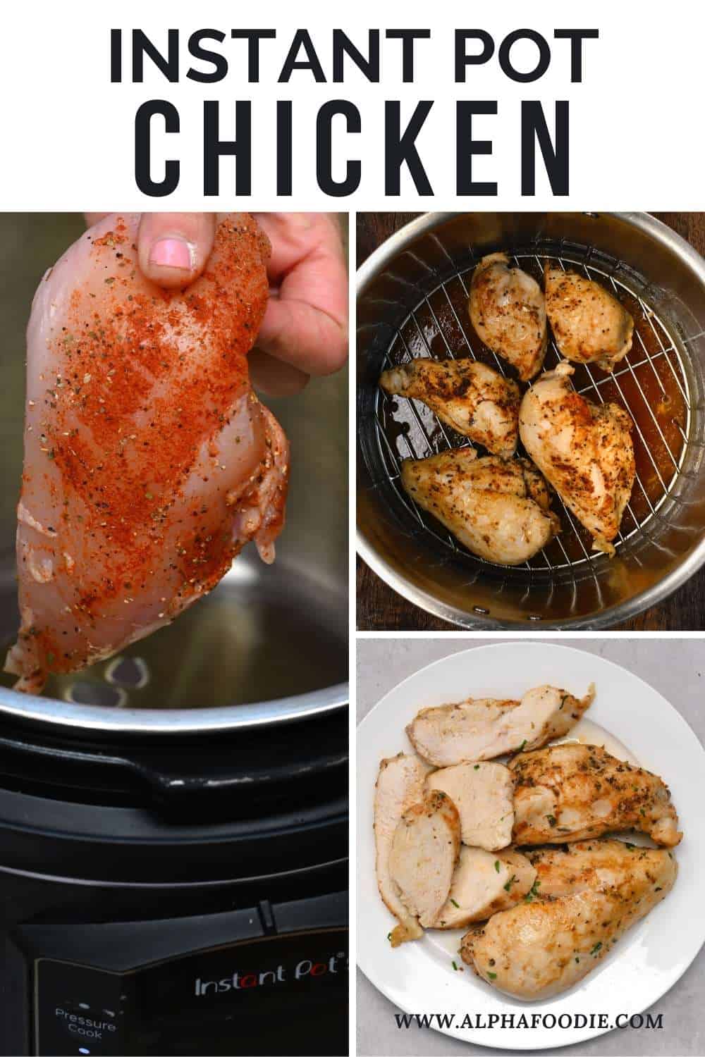Instant Pot Ip Lux Chicken Breast