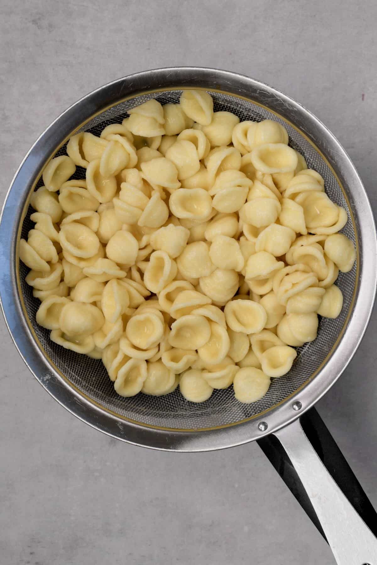 Cooked pasta shells