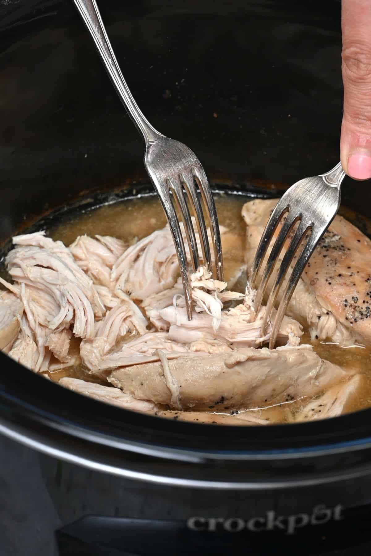 Shredding chicken with forks