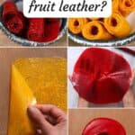 Easy Fruit Leather Recipe (No Boil Needed!)