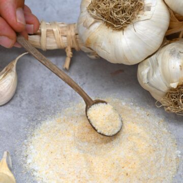 A spoonful of homemade garlic salt